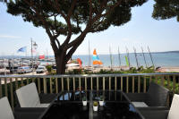 Cannes Locations, appartements et villas en location  Cannes, copyrights John and John Real Estate, photo Rf 318-02